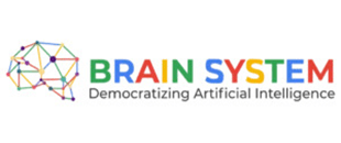 Brain
